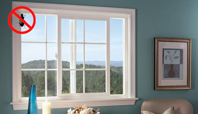 Aunti - Fungi and Anti Termite upvc windows and doors suppliers in chennai